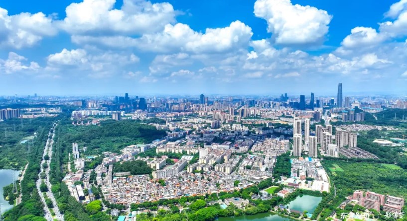 1763967449325.jpg 7.jpg